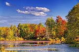 First Autumn Color_16466